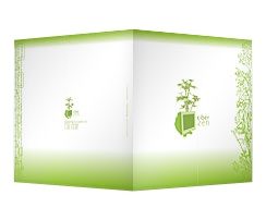 Ciber Zen