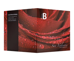 Bronchales